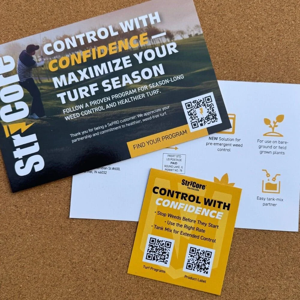 5 Ways Magnet Mailers Keep Your Brand on the Fridge
